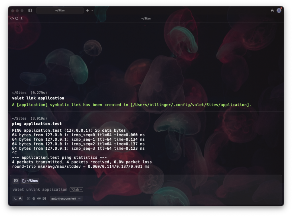 Erstellung eines Links mit anschließendem Test via Ping